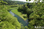 Natuurpark Rakov Skocjan