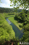 Rakov Skocjan Nature Reserve