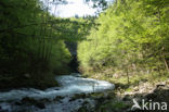 Rakov Skocjan Nature Reserve