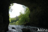 Natuurpark Rakov Skocjan