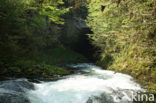 Natuurpark Rakov Skocjan