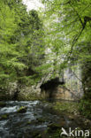 Rakov Skocjan Nature Reserve