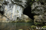 Rakov Skocjan Nature Reserve