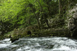 Rakov Skocjan Nature Reserve