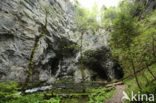 Rakov Skocjan Nature Reserve