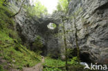 Rakov Skocjan Nature Reserve