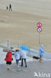 Noordzeestrand