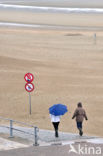 Noordzeestrand