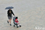 Noordzeestrand