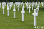 Normandy American Cemetery and Memorial