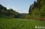 Triglav Nationaal Park