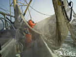 Waddenzee