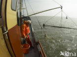 Waddenzee