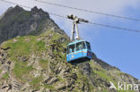 Alps