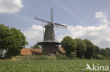 De Hompesche Molen