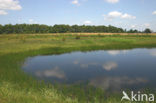 Empese en Tondense Heide