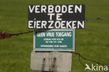 Frisia
