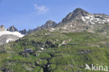 Furka Pass