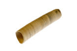 Elephant’s-tusk Shell (Dentalium entalis)
