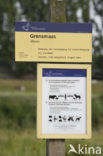 Grensmaas