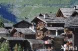 Grimentz