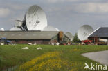 Grondstation Station 12