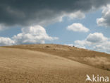 Hoog Buurlose Heide