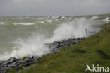 IJsselmeer
