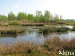 Internationaal Natuurpark Bourtanger Moor-Bargerveen