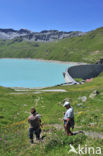 Lac de Moiry