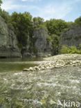 Les Gorges du Chassezac