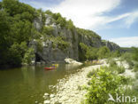 Les Gorges du Chassezac