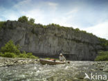 Les Gorges du Chassezac