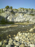 Les Gorges du Chassezac