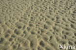 National Park Duinen van Texel