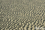 National Park Duinen van Texel
