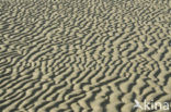 Nationaal Park Duinen van Texel