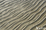 Nationaal Park Duinen van Texel