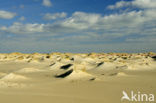 Nationaal Park Duinen van Texel