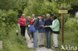 Nationaal Park Dwingelderveld