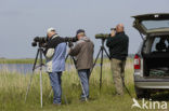 Nationaal Park Lauwersmeer