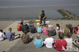 Nationaal Park Lauwersmeer