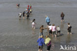 Nationaal Park Lauwersmeer