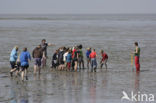 Nationaal Park Lauwersmeer