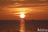 Waddensea