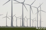 Windfarm