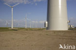 Windfarm