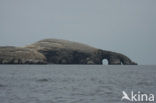 Ballestas eilanden