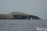 Paracas National park