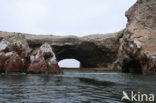 Paracas National park